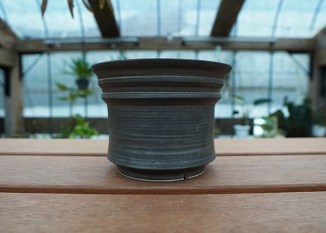 保田修作  pot No.61