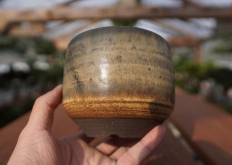 關まどか pot NO.14-2　F