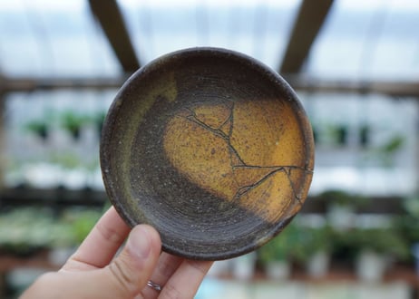 hechicami pot NO.17