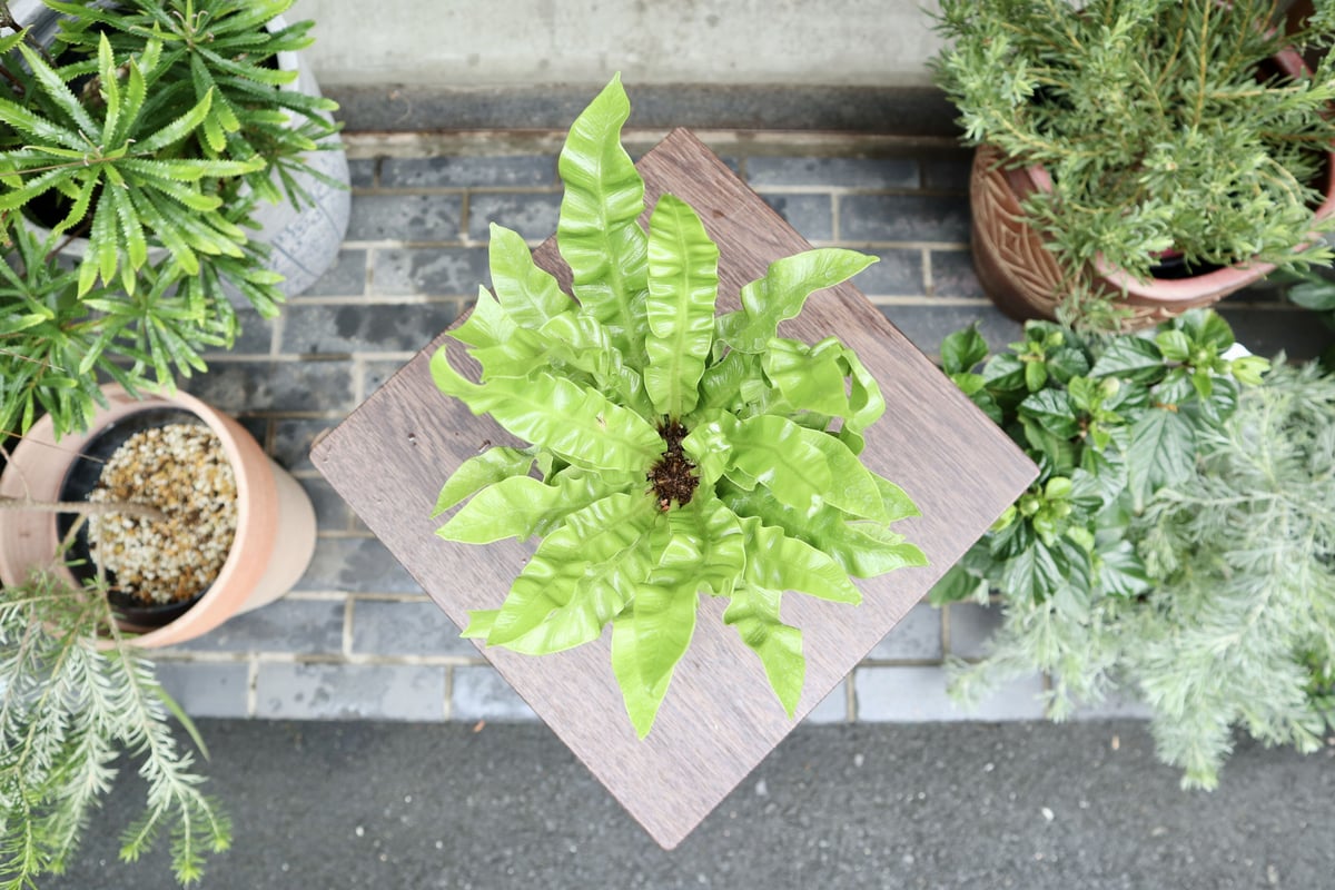 fit=scale-down,w=1200