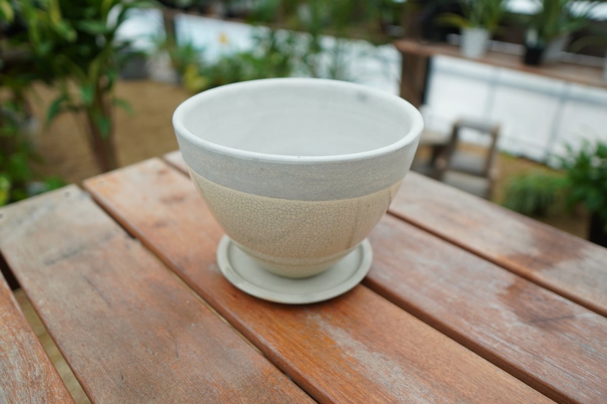 植木鉢 鉢皿付き No.1 | mana's farm:塊根植物・アガベ・ドライ