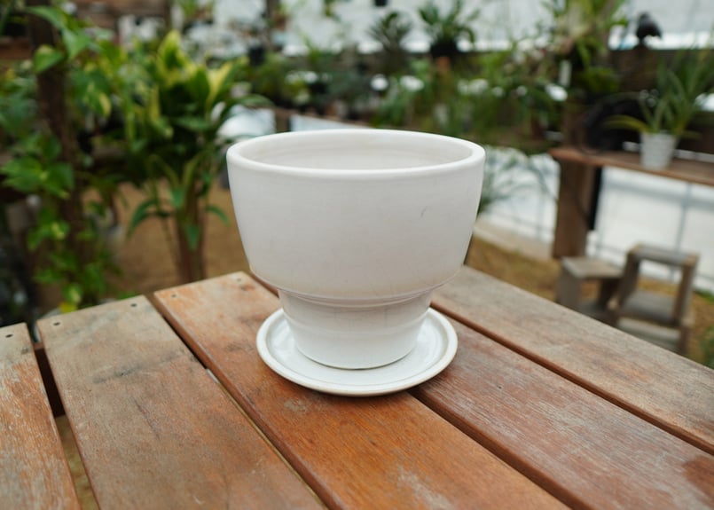 植木鉢 鉢皿付き No.4 | mana's farm:塊根植物・アガベ・ドライ