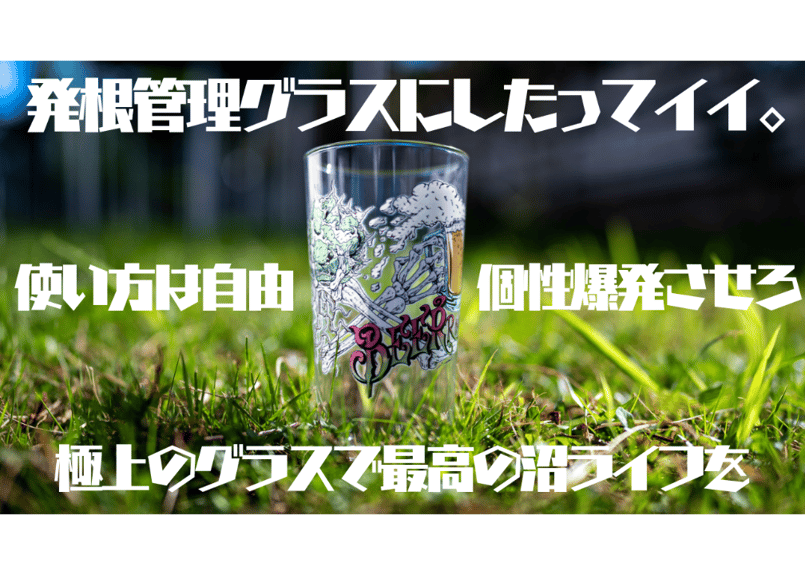 アガベ沼グラス | mana's farm:塊根植物・アガベ・ドライガーデン植物