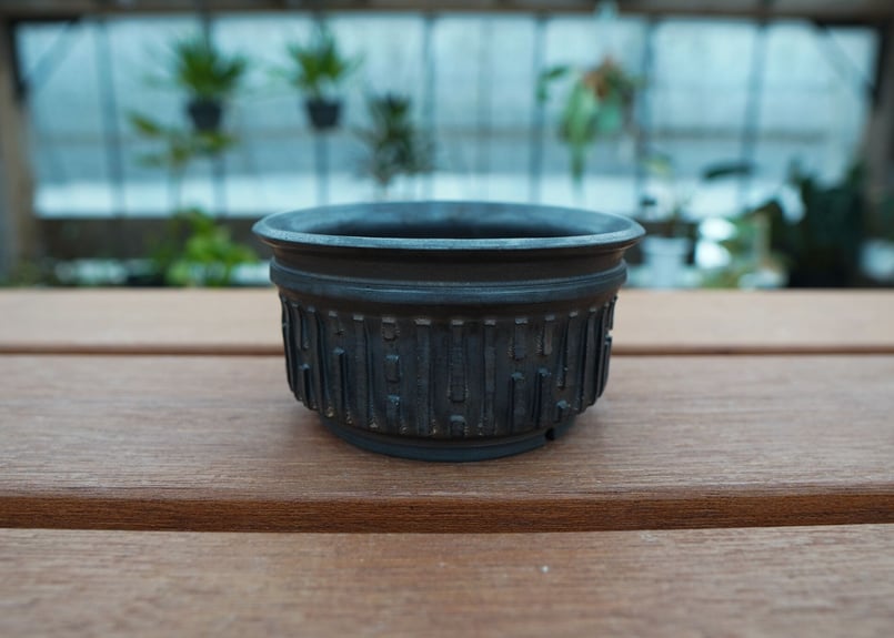 ponkotu88 様souju オリーブ盆栽 × 保田修作 作家鉢 根上がり 保田修作 pot No.48 | mana's farm:塊根植物・アガベ・ドライガーデン植
