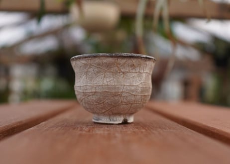 持木祐一pot NO.8