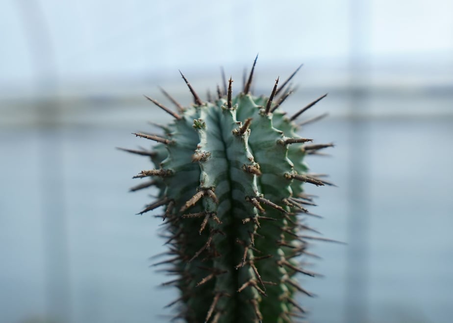63f036c33313d23ebb8e6893