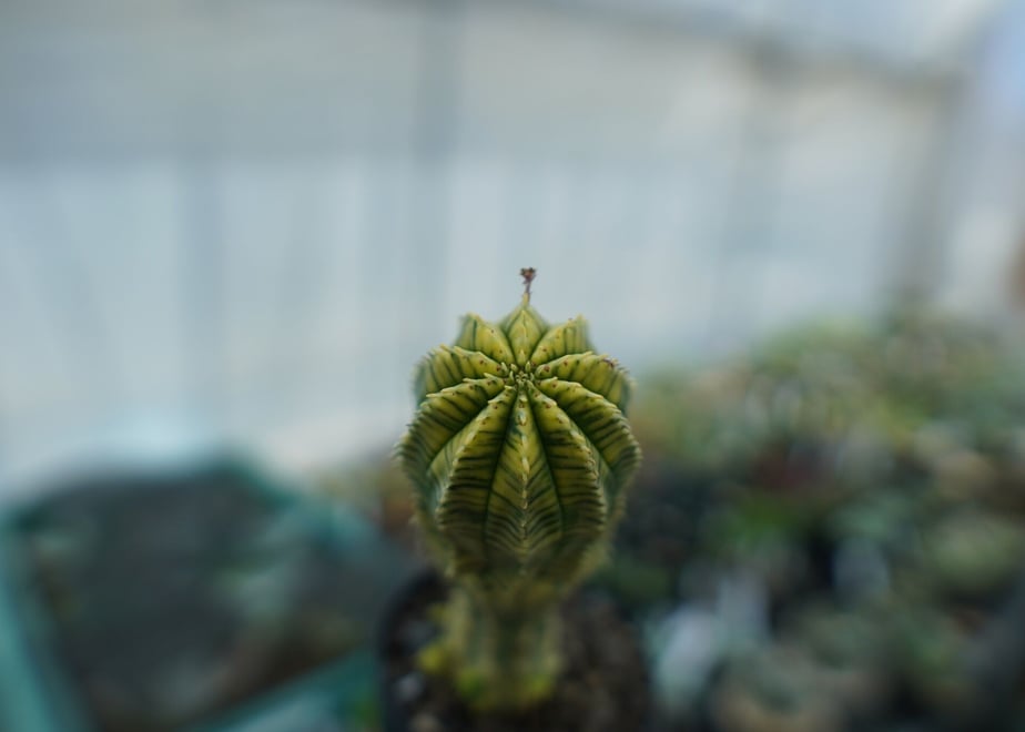 64194f33597398002d8311b0