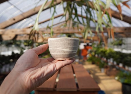 關まどか pot NO.19-1 F