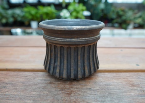 保田修作  pot No.19