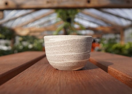 關まどか pot NO.19-1 F