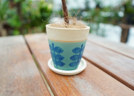 植木鉢　鉢皿付き　No.5