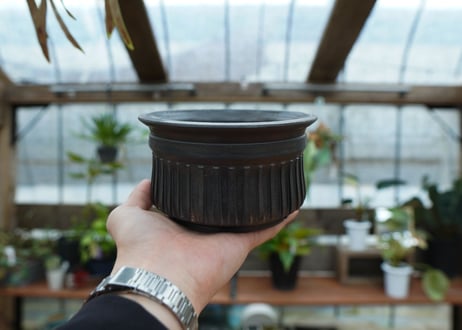 保田修作  pot No.54