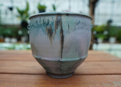 神田知広pot No.22