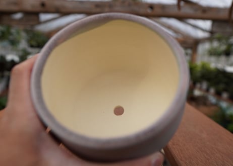 關まどか pot NO.27-4