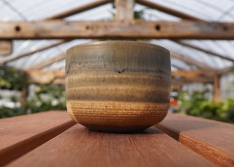 關まどか pot NO.21-1 F