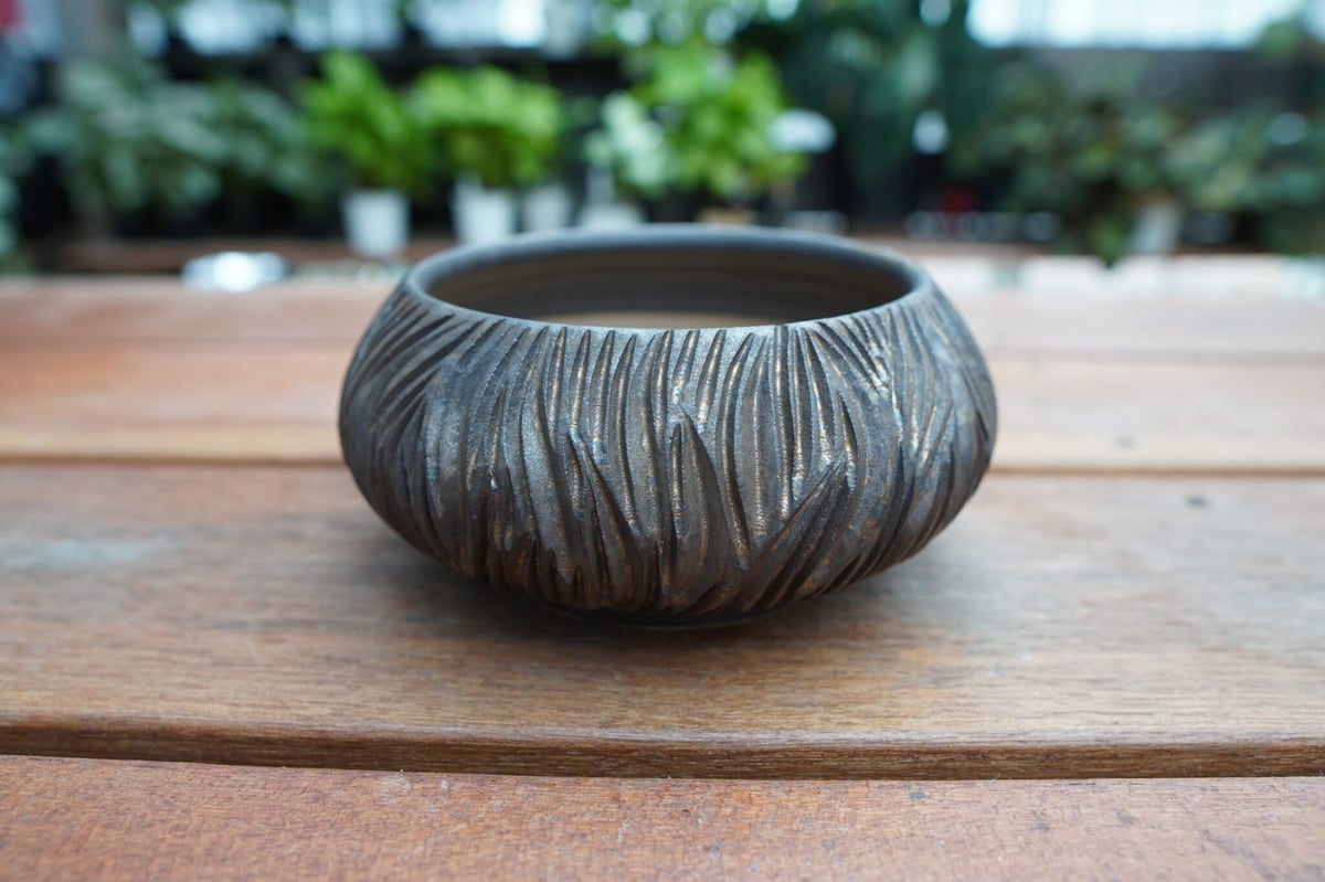 保田修作　作家鉢　塊根植物 保田修作 pot No.7 | mana's farm:塊根植物・アガベ・ドライガーデン