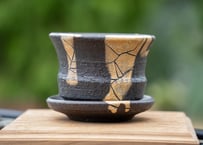 ラフィオナクメ・フラナガニー ラフィオナクメ・フラナガニー - 植物 主に観葉植物 日記