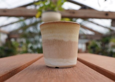 關まどか pot NO.6-4　F