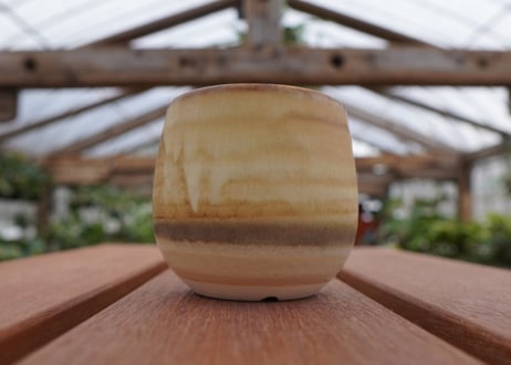 關まどか pot NO.32-2　Ｇ