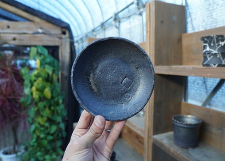 hechicami pot No.20