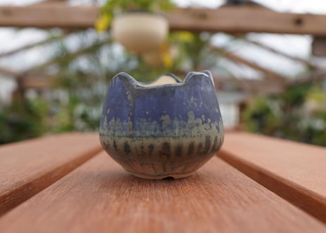關まどか pot NO.3-3　Ｇ