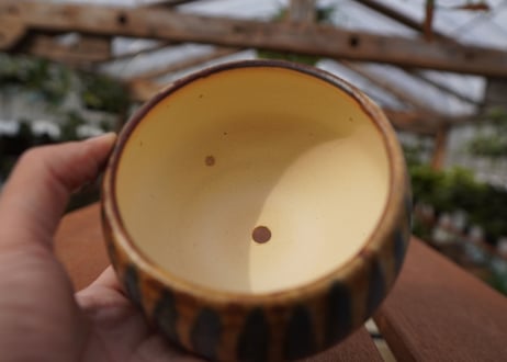 關まどか pot NO.23-1 F