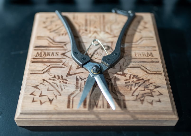 KUROCO 片刃芽切鋏 200mm mana's farmモデル | mana's farm