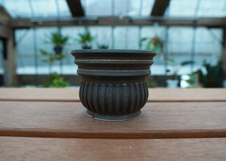 保田修作  pot No.50