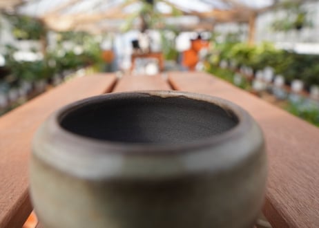 關まどか pot NO.17-1