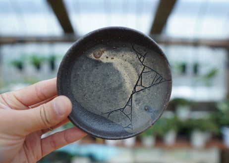hechicami pot NO.10