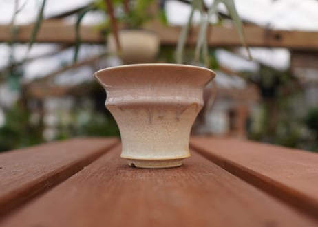 持木祐一pot NO.11