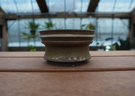 保田修作  pot No.45