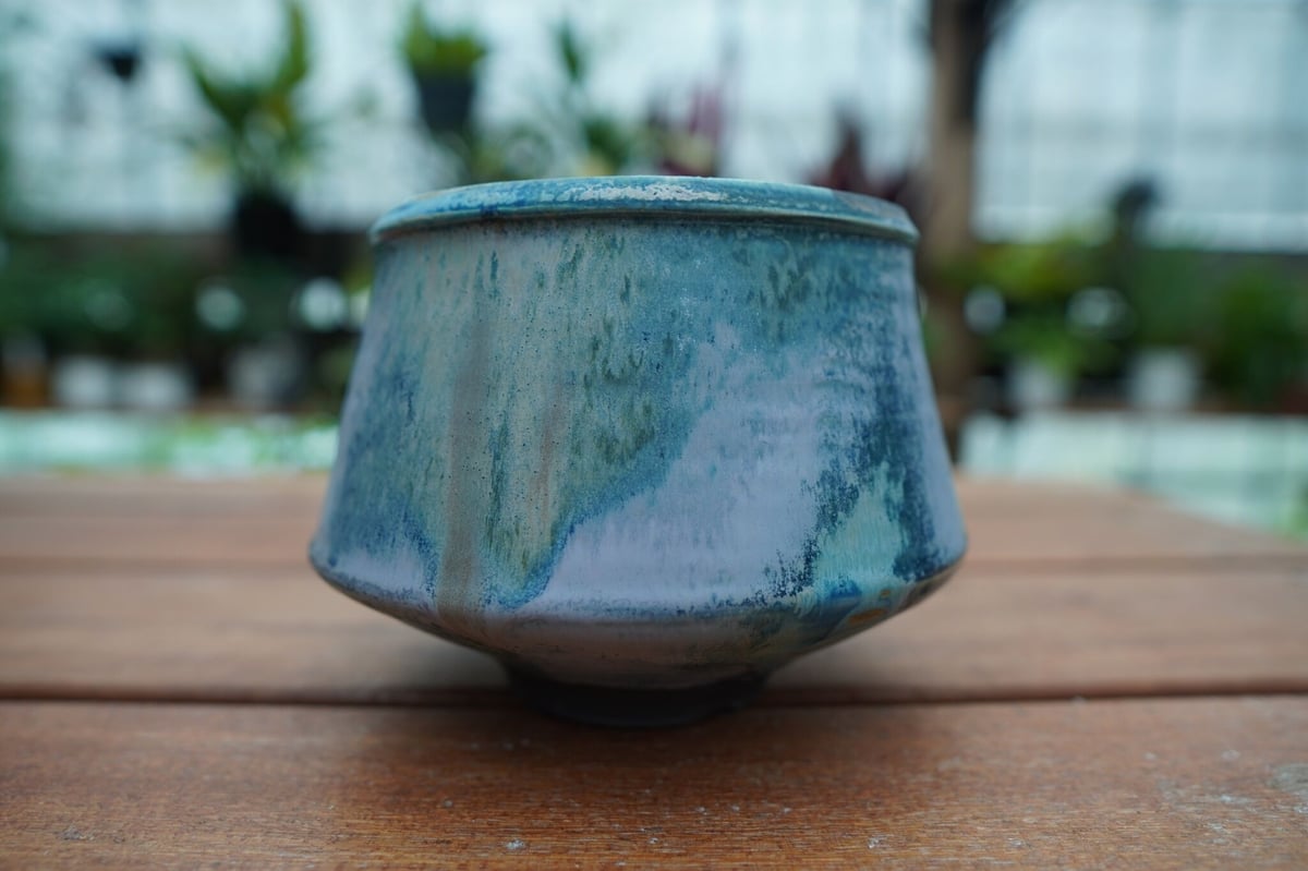 神田知広pot No.21 | mana's farm:塊根植物・アガベ・ドライガーデン