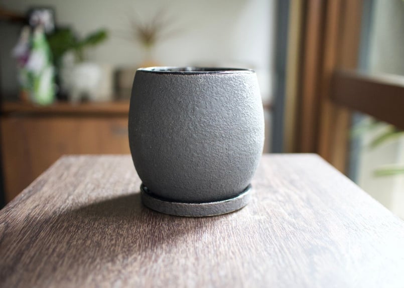 植木鉢 ノヴァボウル 鉢皿付き S | mana's farm:塊根植物・アガベ