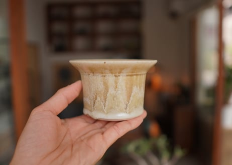 YM pot  NO.7
