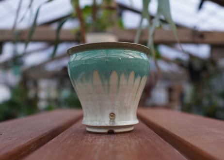 持木祐一pot NO.21