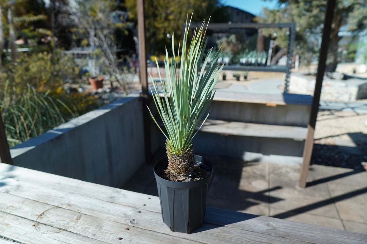 fit=scale-down,w=1200