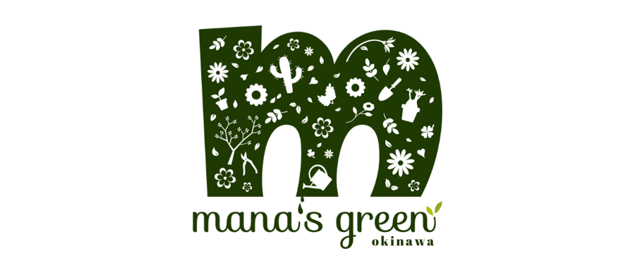 mana's farm:塊根植物・アガベ・ドライガーデン植物販売|マナズファーム