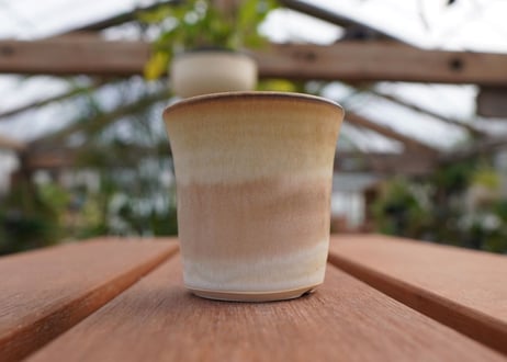 關まどか pot NO.6-4　F