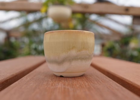 關まどか pot NO.1-1　F