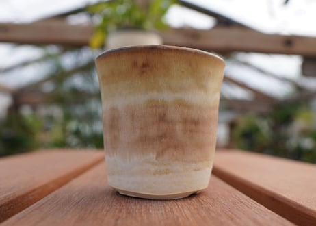 關まどか pot NO.6-4　F