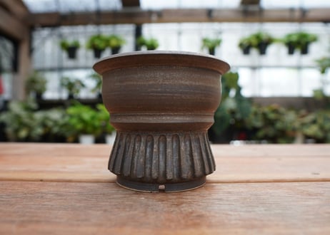 保田修作  pot No.25