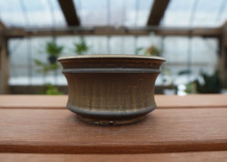 保田修作  pot No.38