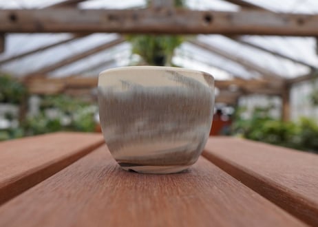 關まどか pot NO.30-3