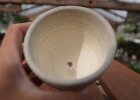 關まどか pot NO.22-4 F