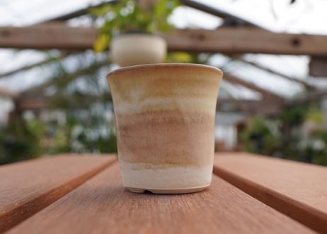 關まどか pot NO.6-4　F