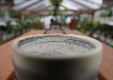 關まどか pot NO.30-3