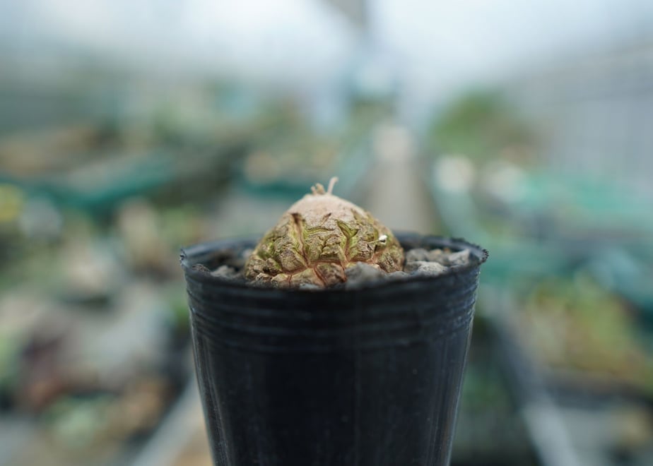 64b269911308d5002db9a657