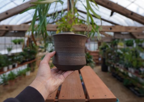 關まどか pot NO.11-5 F