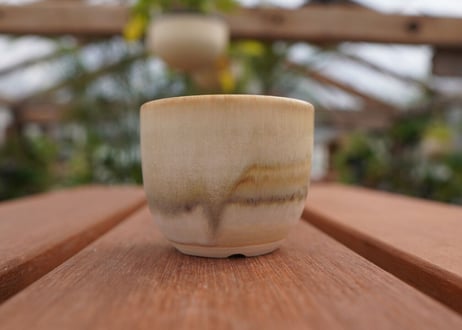 關まどか pot NO.1-6　F